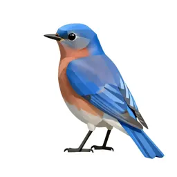 Bluebird