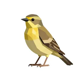 Bobolink