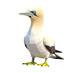 Booby