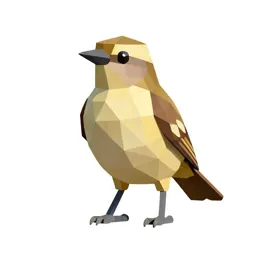 Bowerbird