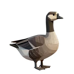 Brant