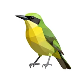 Broadbill