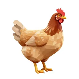 Brood hen