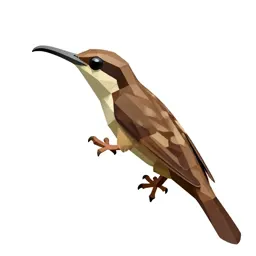 Brown creeper
