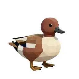 Bufflehead