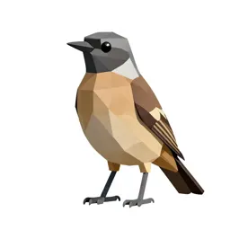 Bulbul