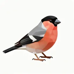 Bullfinch