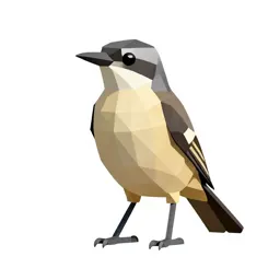 Bush shrike