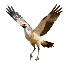 Bustard