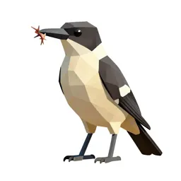 Butcherbird