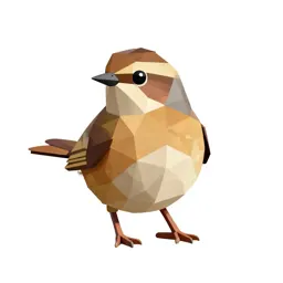 Button quail