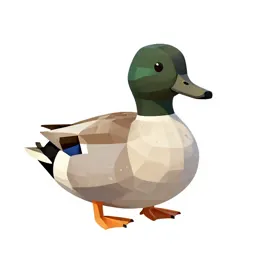 Canvasback