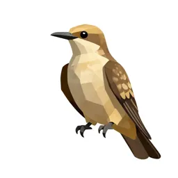 Caprimulgiform bird