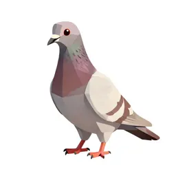 Carrier pigeon