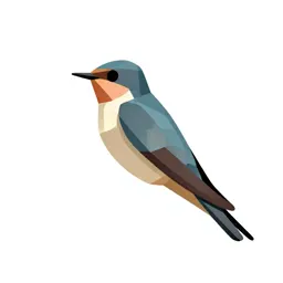 Chimney swift