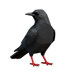 Chough