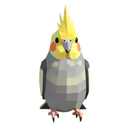 Cockateel
