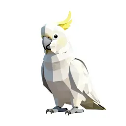 Cockatoo