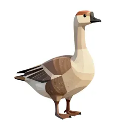 Common brant goose