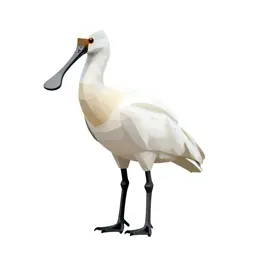 Common spoonbill