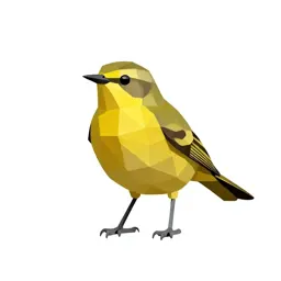 Common yellowthroat