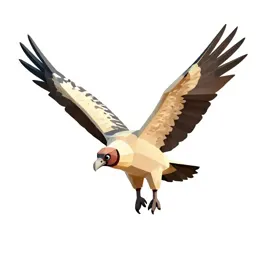 Condor