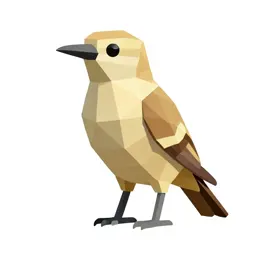 Coraciiform bird