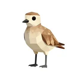 Courser