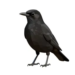 Cowbird