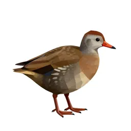 Crake