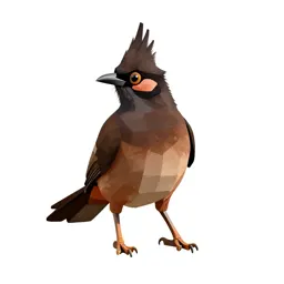 Crested myna