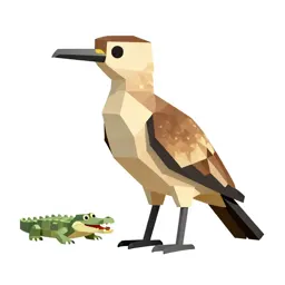Crocodile bird