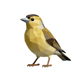 Crossbill