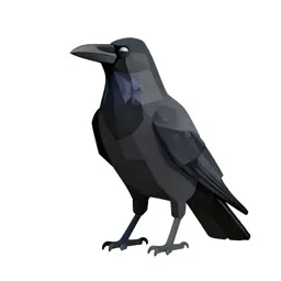 Crow