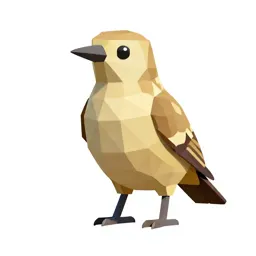 Cuculiform bird