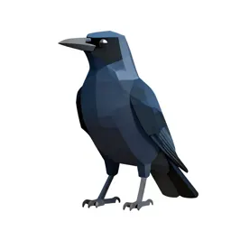 Currawong