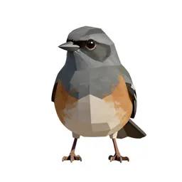 Dark-eyed junco