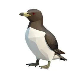 Diving petrel