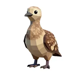 Dodo