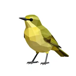 Fig-bird