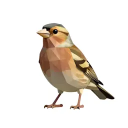 Finch