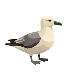 Fulmar