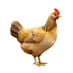 Gallinaceous bird