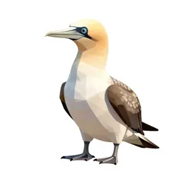 Gaviiform seabird