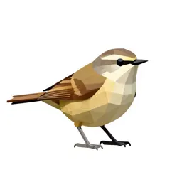 Gnatcatcher