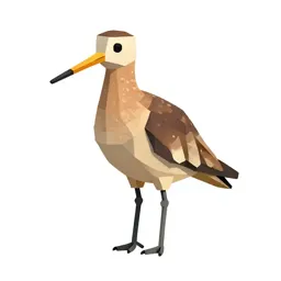 Godwit