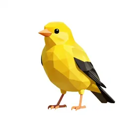 Golden oriole