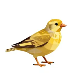 Golden plover