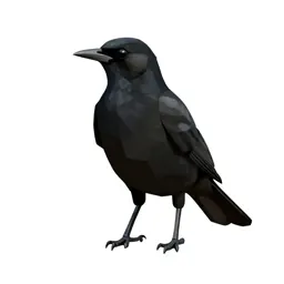 Grackle