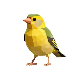 Grassfinch